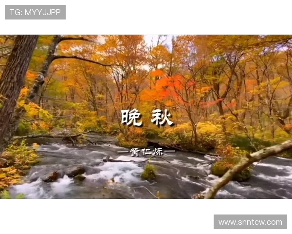 《晚秋》:一场秋叶般的绝美邂逅,一段刻骨铭心的别离