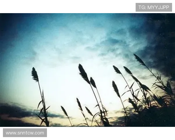 德尔托拉的呼唤：你，是最后的希望